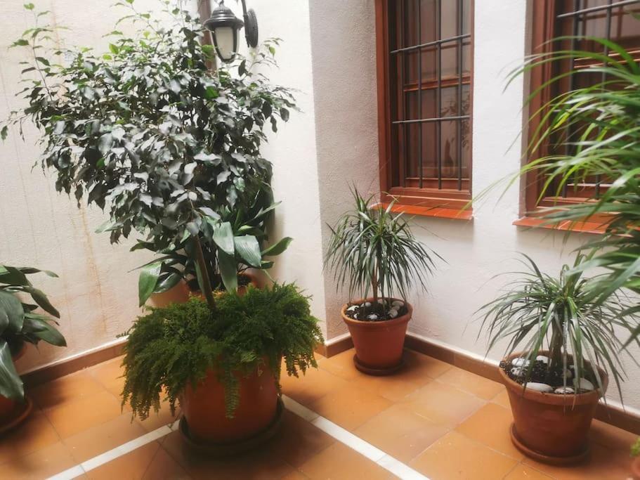 Attico Luxury Suitemalaga Apartament *